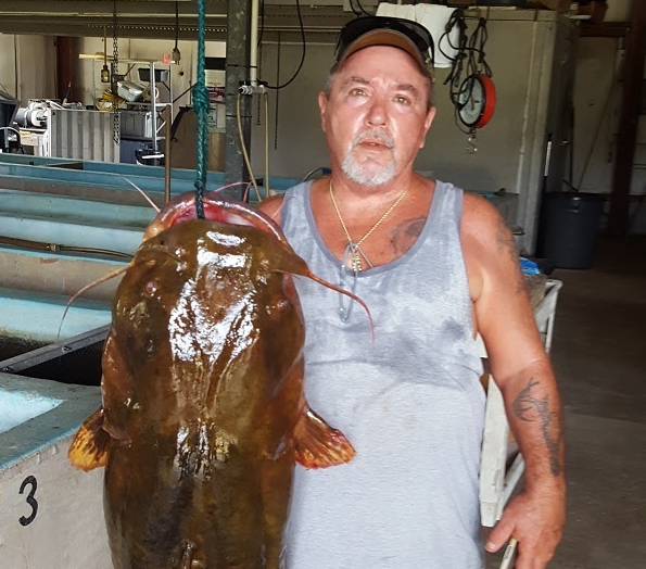 Record Catfish